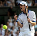 murray