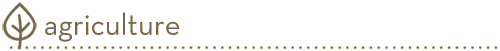 agriculture