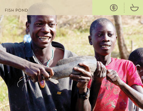fish pond