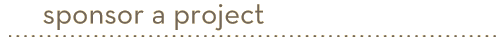 sponsor a project